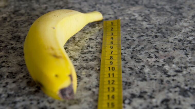 medição do pênis após aumento da glande usando o exemplo de uma banana